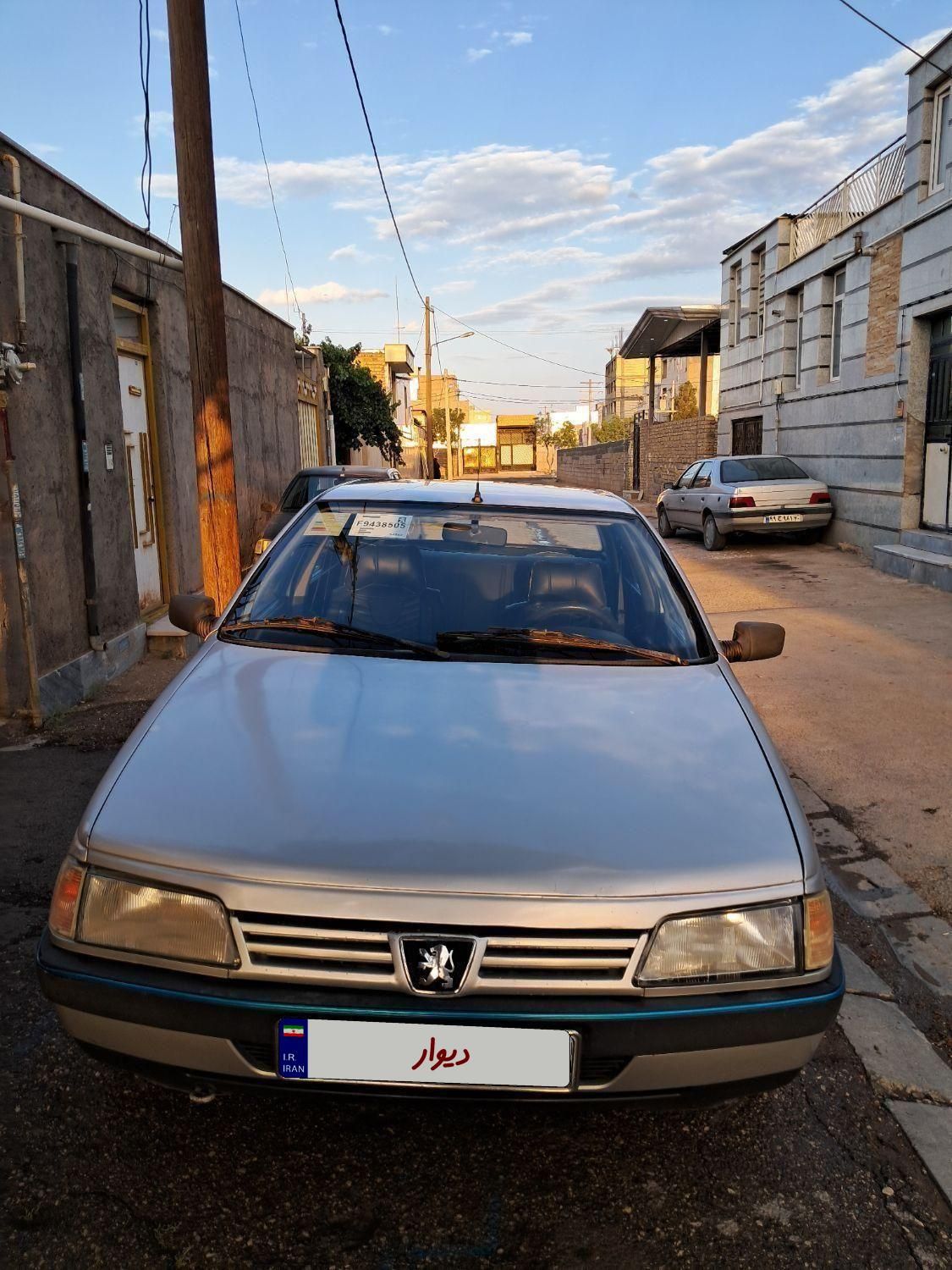 پژو 405 GLX - دوگانه سوز - 1389