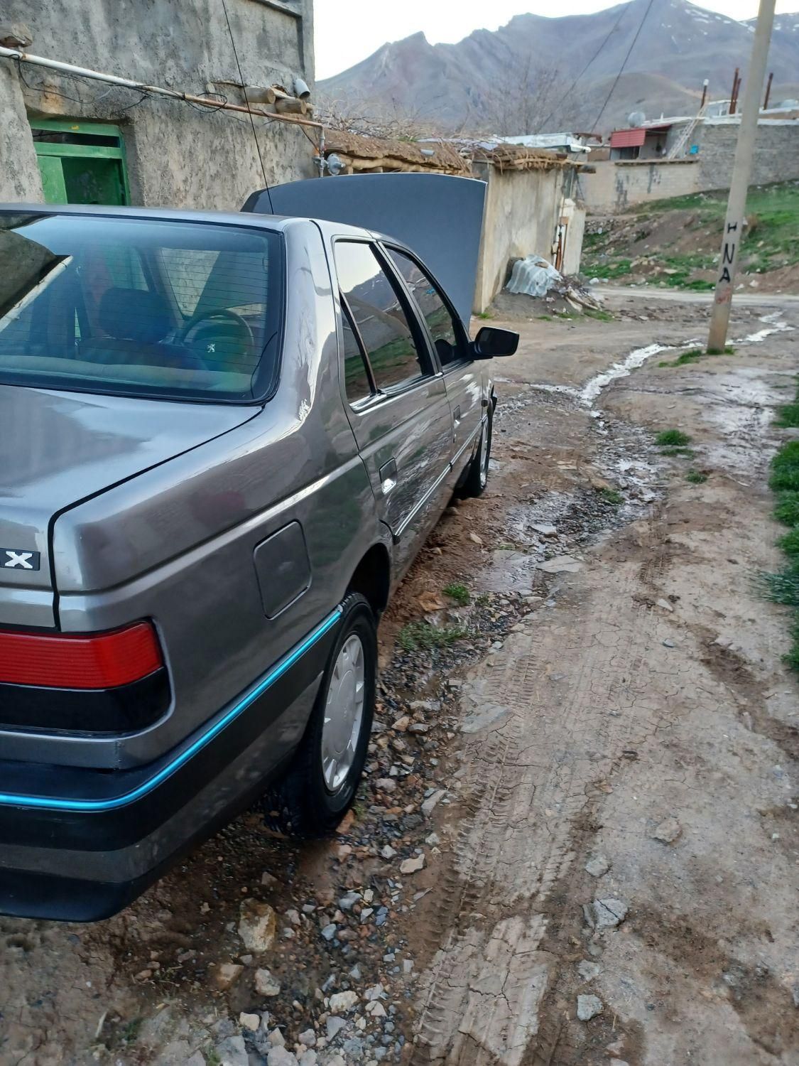 پژو 405 GLX - 1391