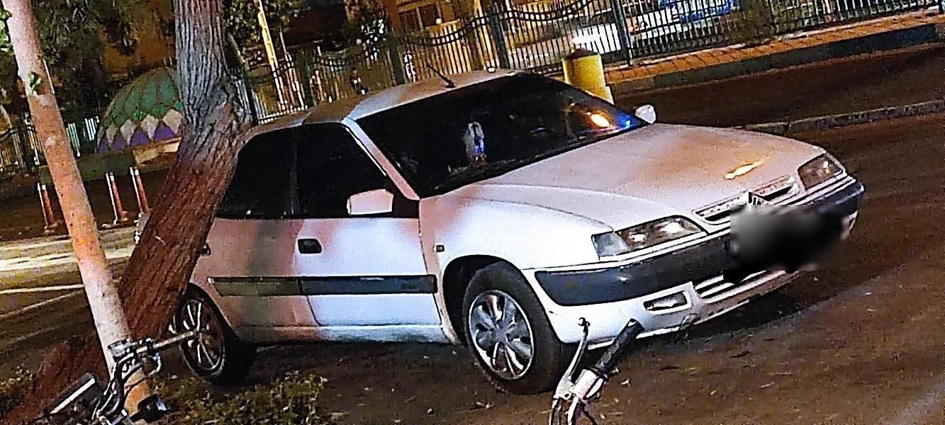 سیتروئن زانتیا X - 1388
