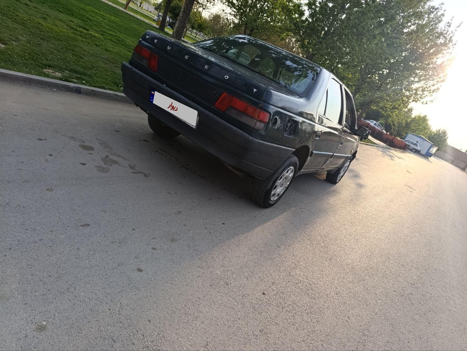 پژو آردی دوگانه سوز CNG - 1382