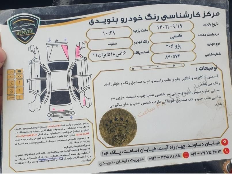 پژو 206 تیپ 5 - 1395
