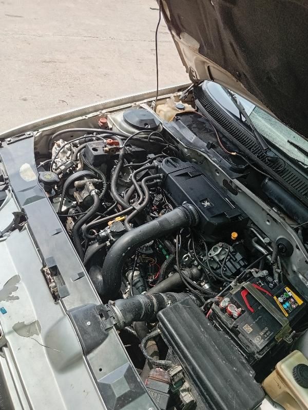پژو 405 GLX - دوگانه سوز - 1388