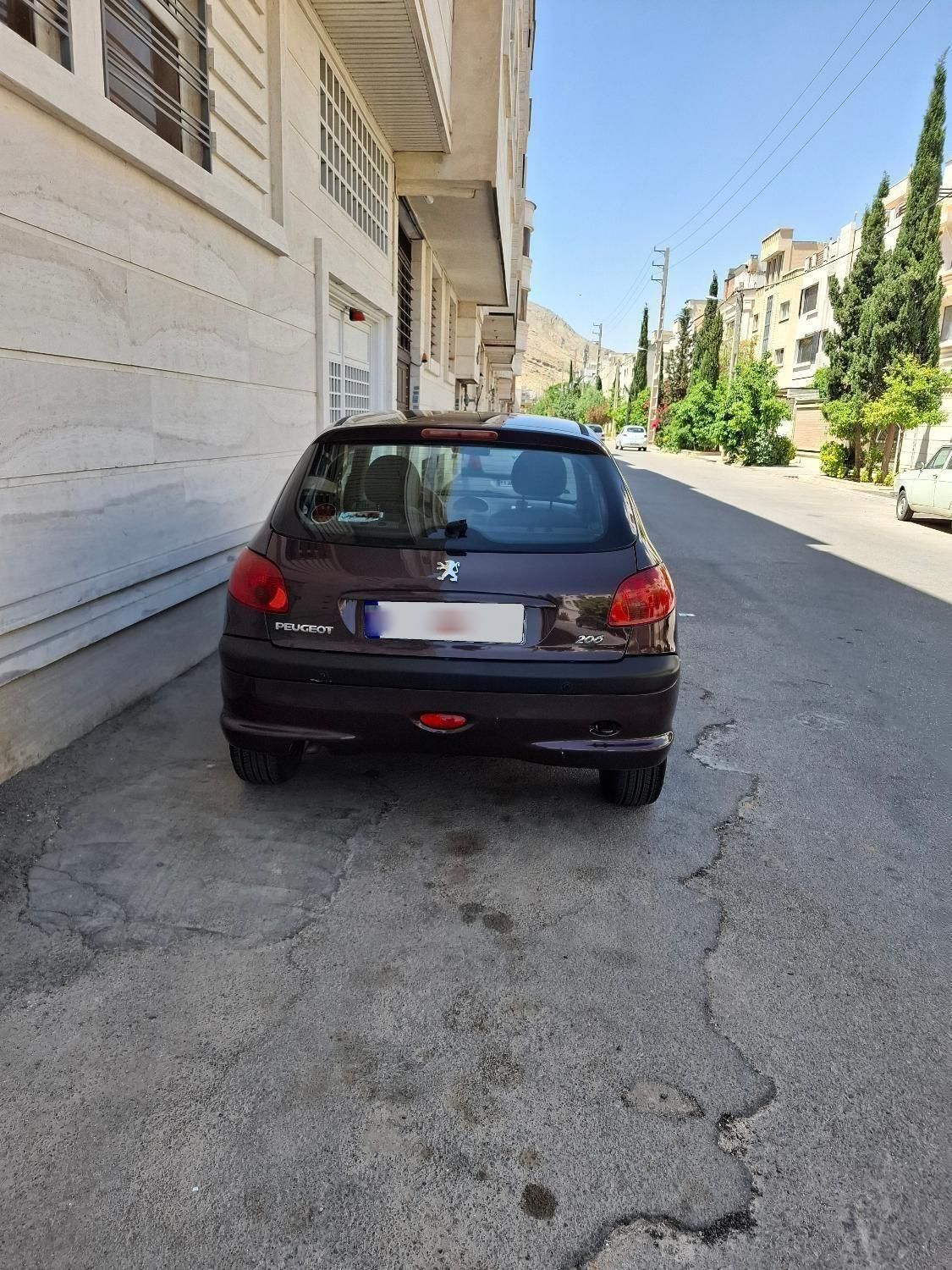 پژو 206 تیپ 2 - 1397