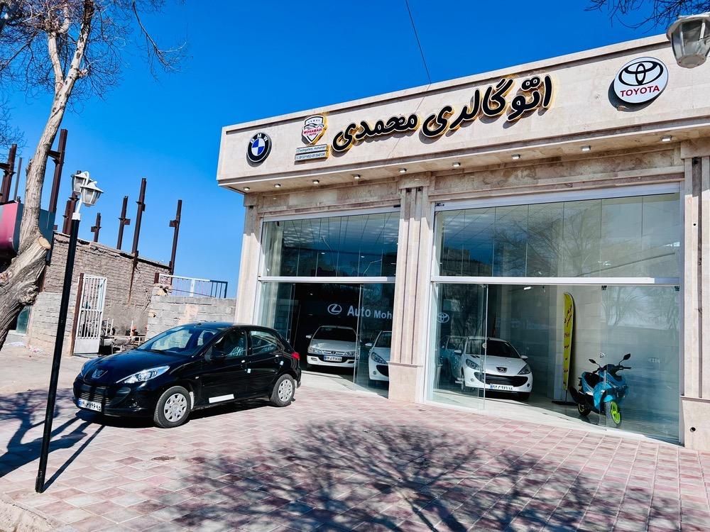 خودرو پژو، 207 آگهی ann_19503397