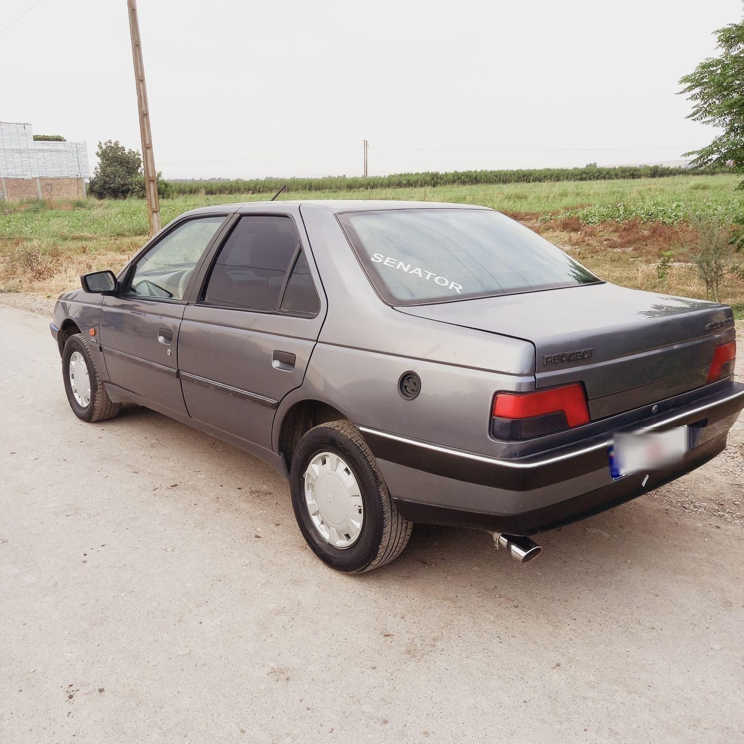 پژو 405 GLX - دوگانه سوز - 1394