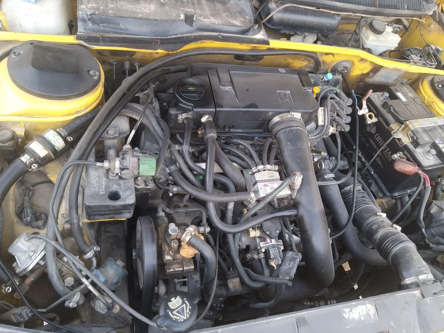 پژو 405 GL - دوگانه سوز CNG - 1373