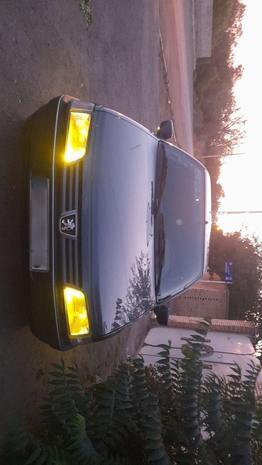 خودرو پژو، 405 آگهی ann_19508979
