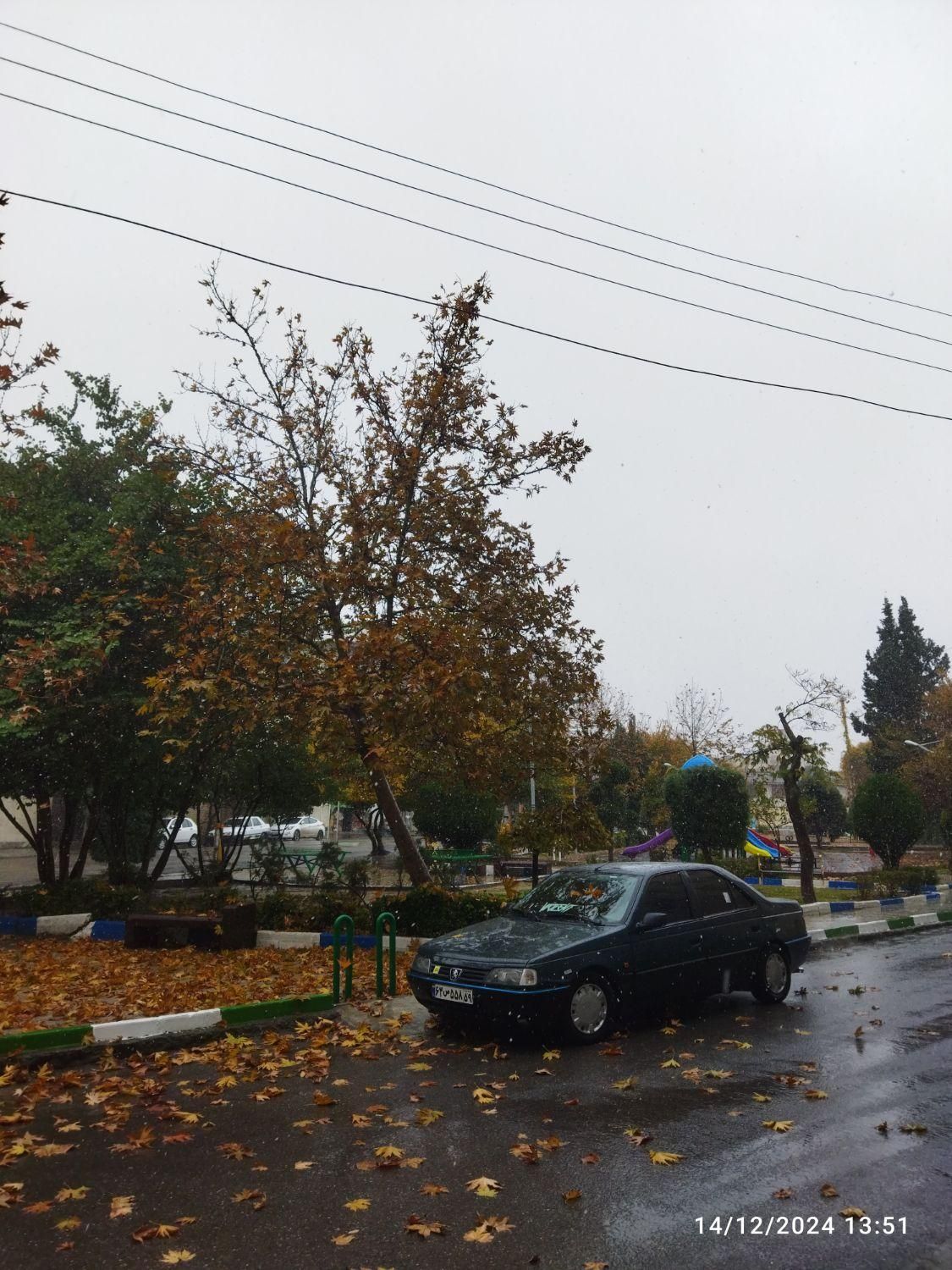 پژو آردی RDI - 1385