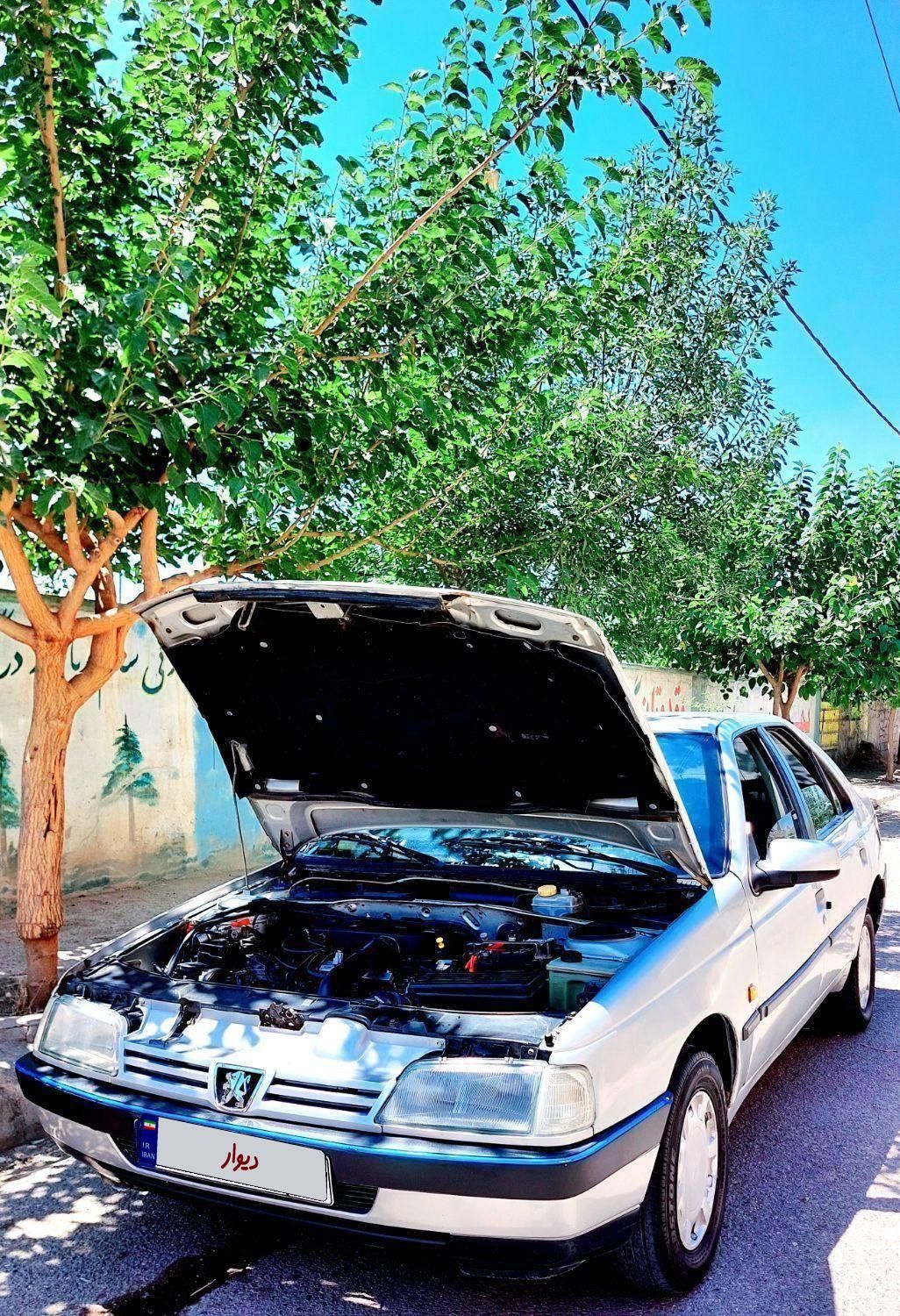 خودرو پژو، 405 آگهی ann_19511764