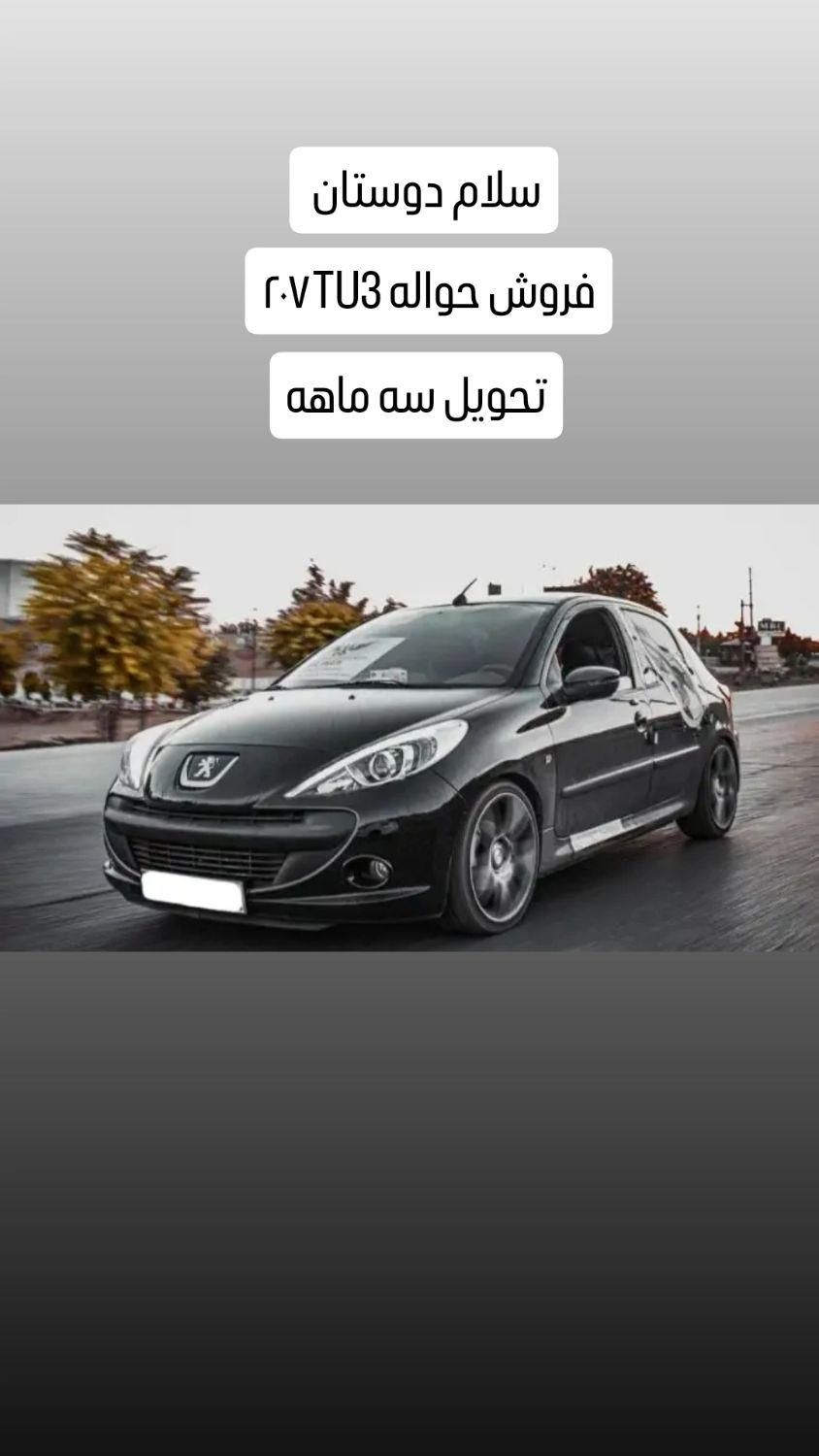 خودرو پژو، 207 آگهی ann_19511847