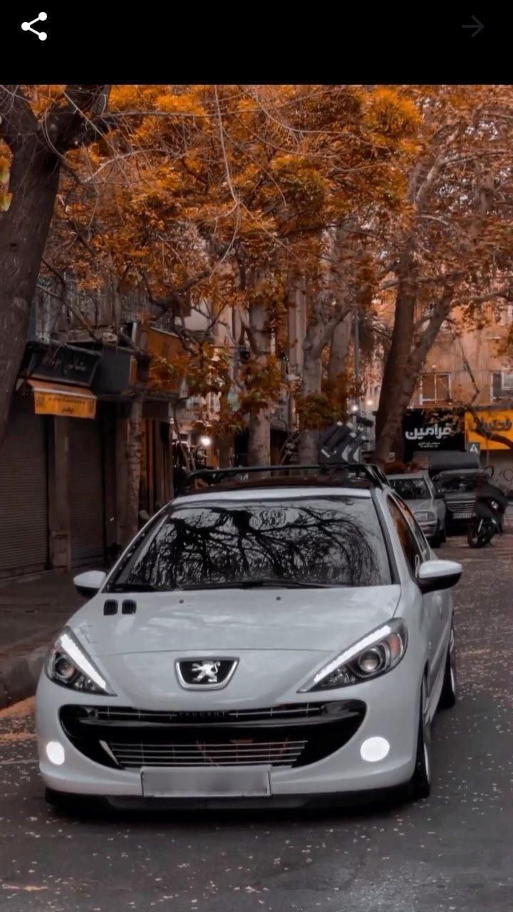 خودرو پژو، 207 آگهی ann_19511870