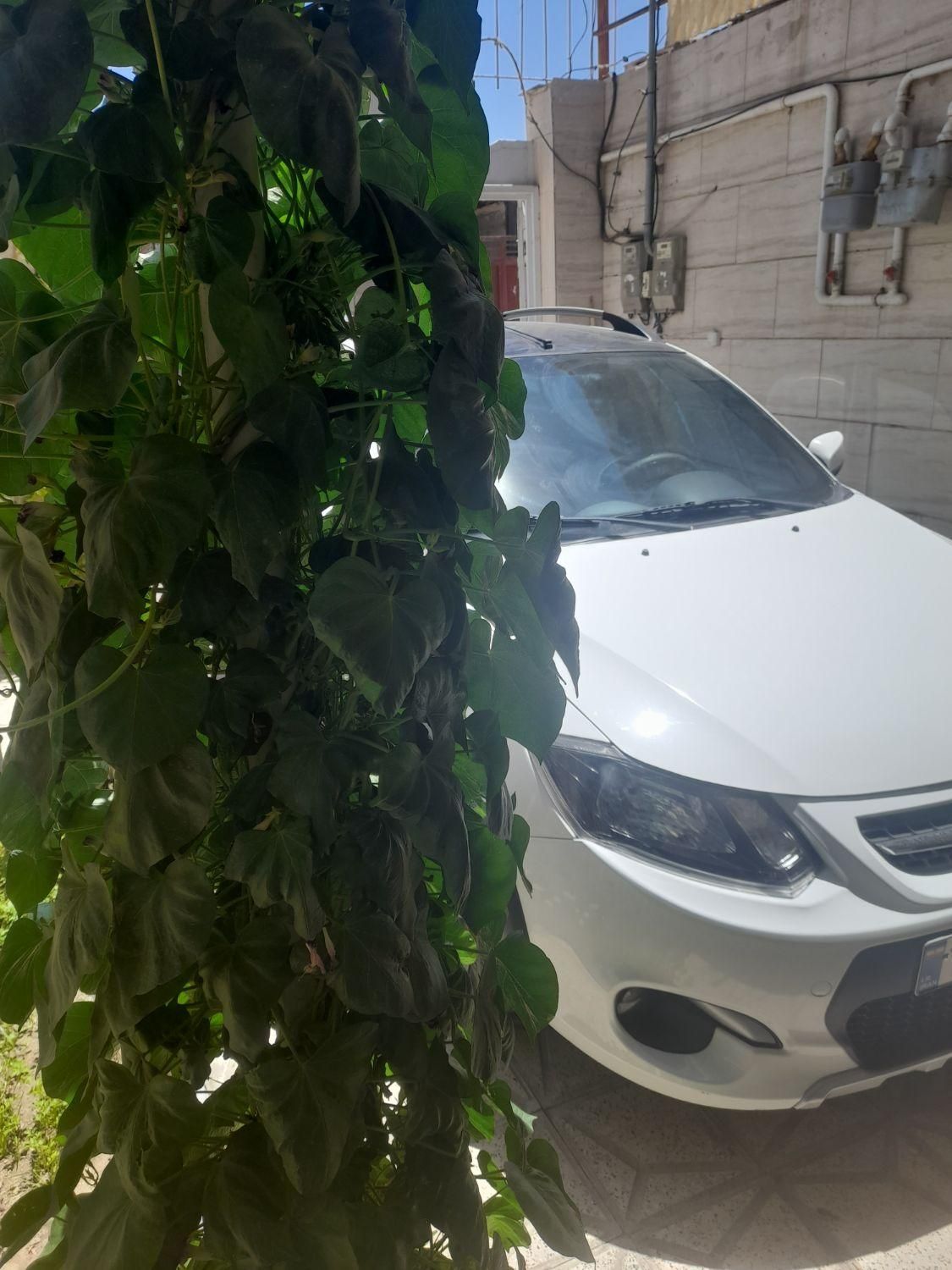 کوییک S پایه - 1401