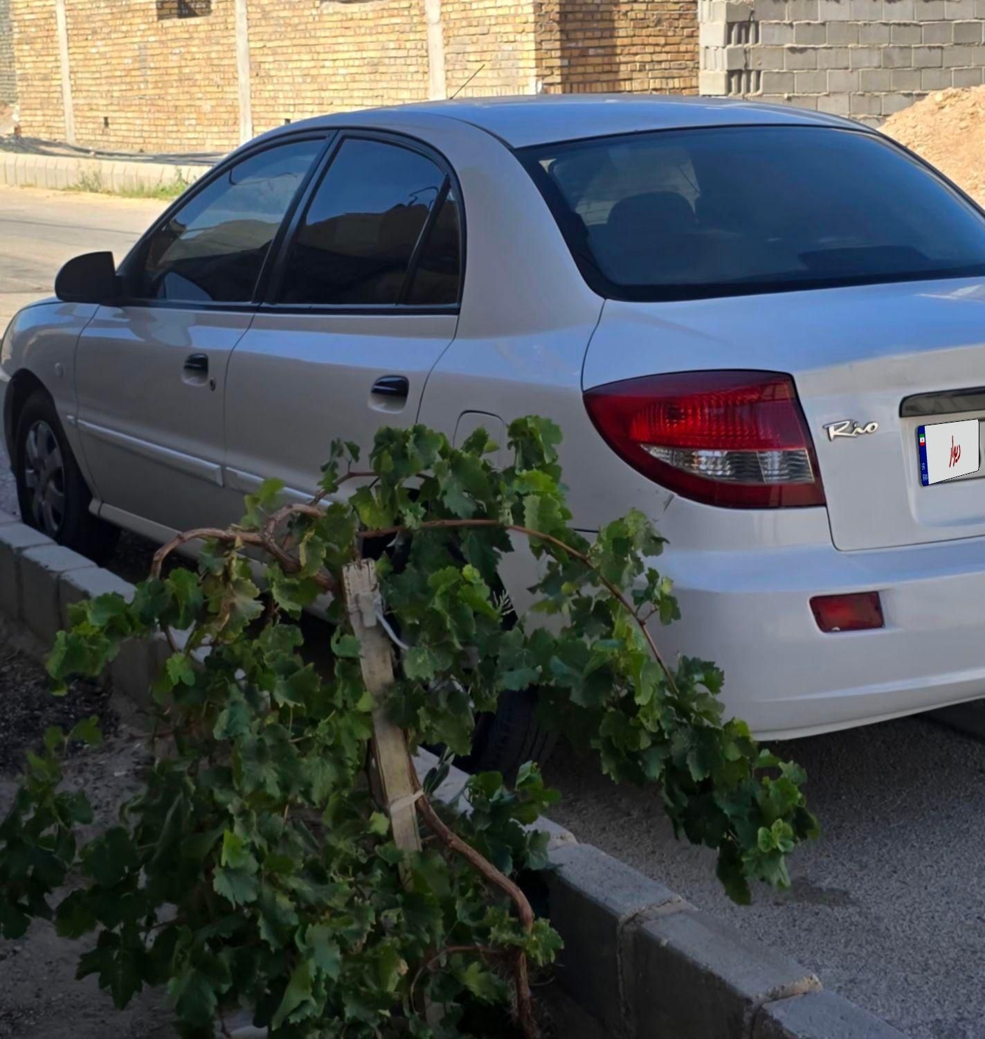 کیا ریو مونتاژ دنده ای LS - 1385