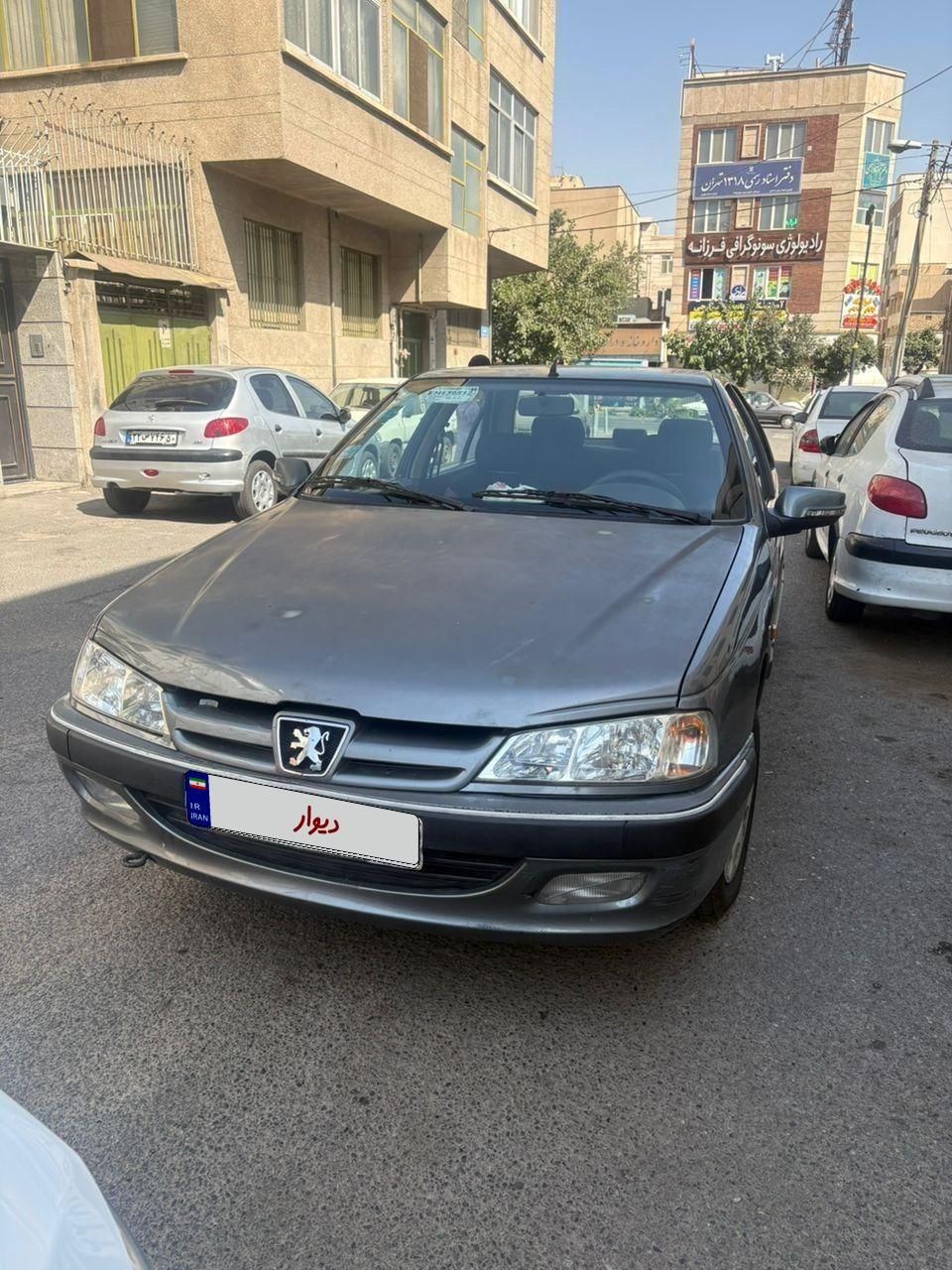 پژو پارس ELX-XU7P سفارشی - 1393