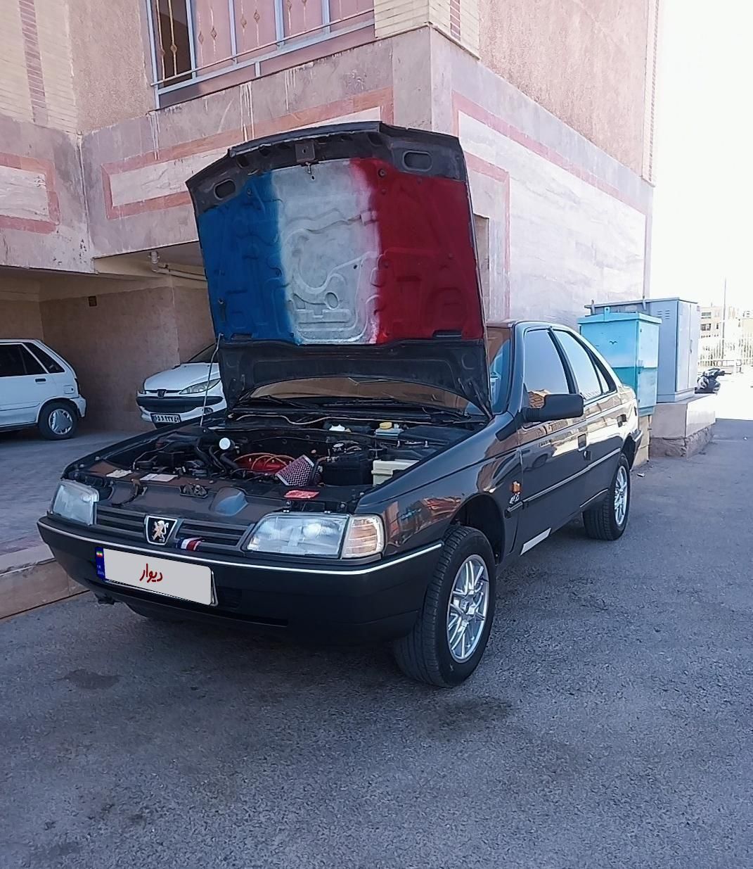 پژو 405 GLI - دوگانه سوز CNG - 1384