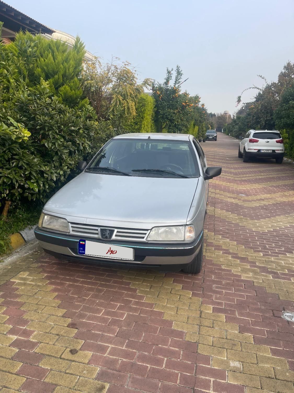 پژو 405 GLX - دوگانه سوز - 1390