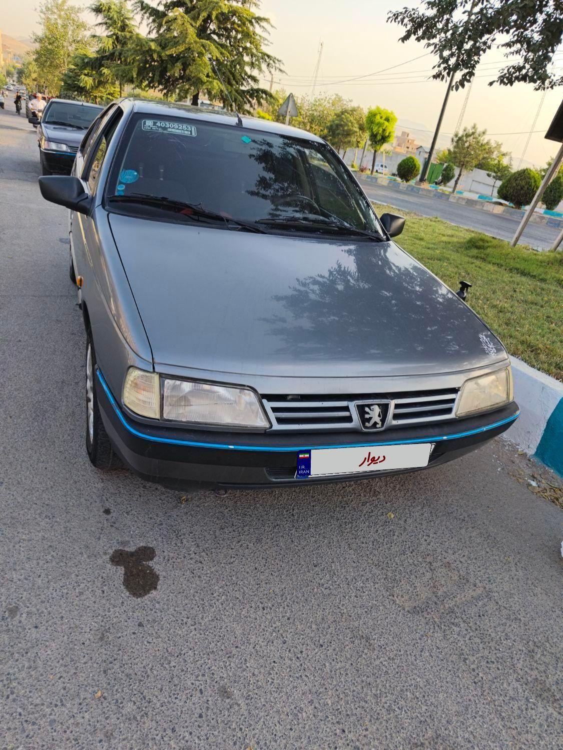 پژو 405 GLX - دوگانه سوز - 1388
