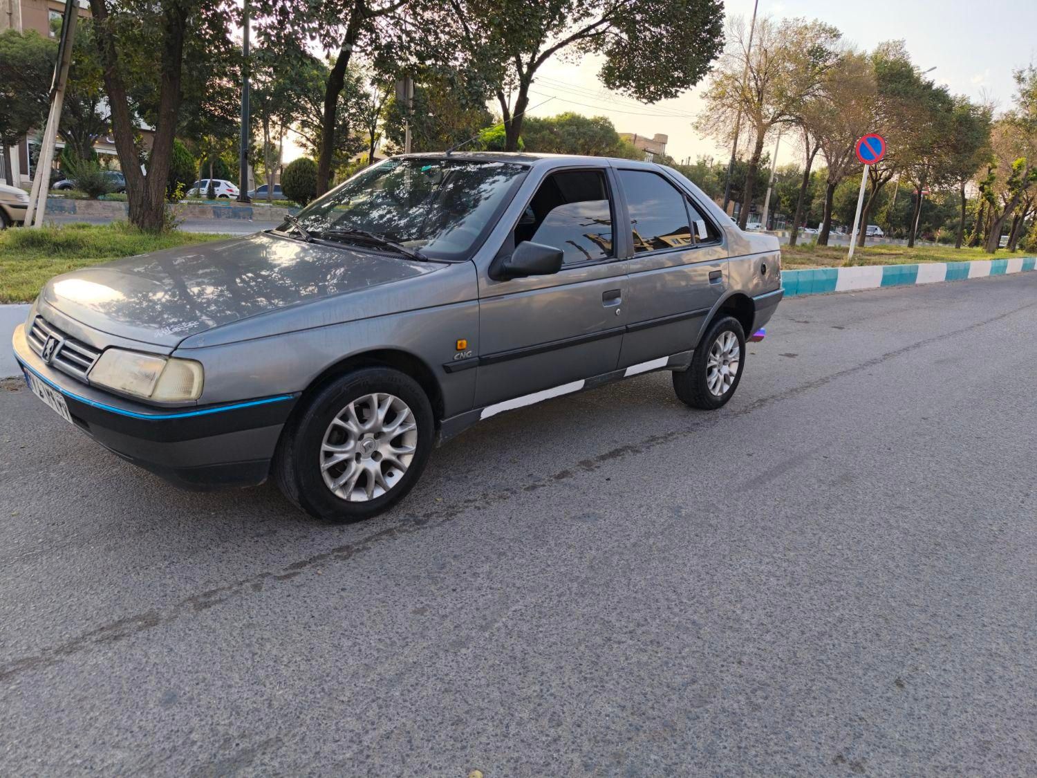پژو 405 GLX - دوگانه سوز - 1388