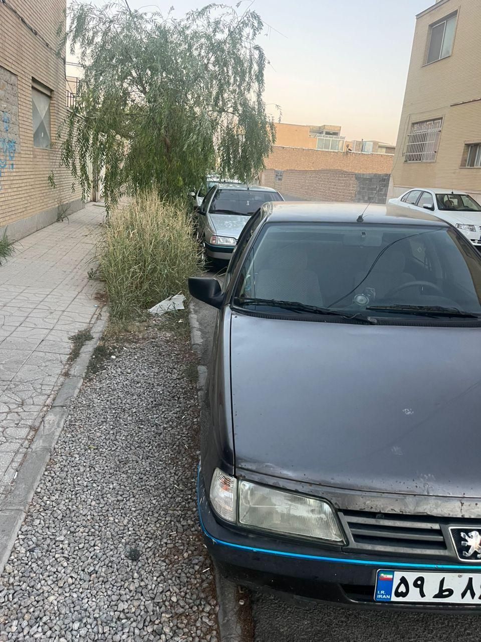 خودرو پژو، 405 آگهی ann_19518264