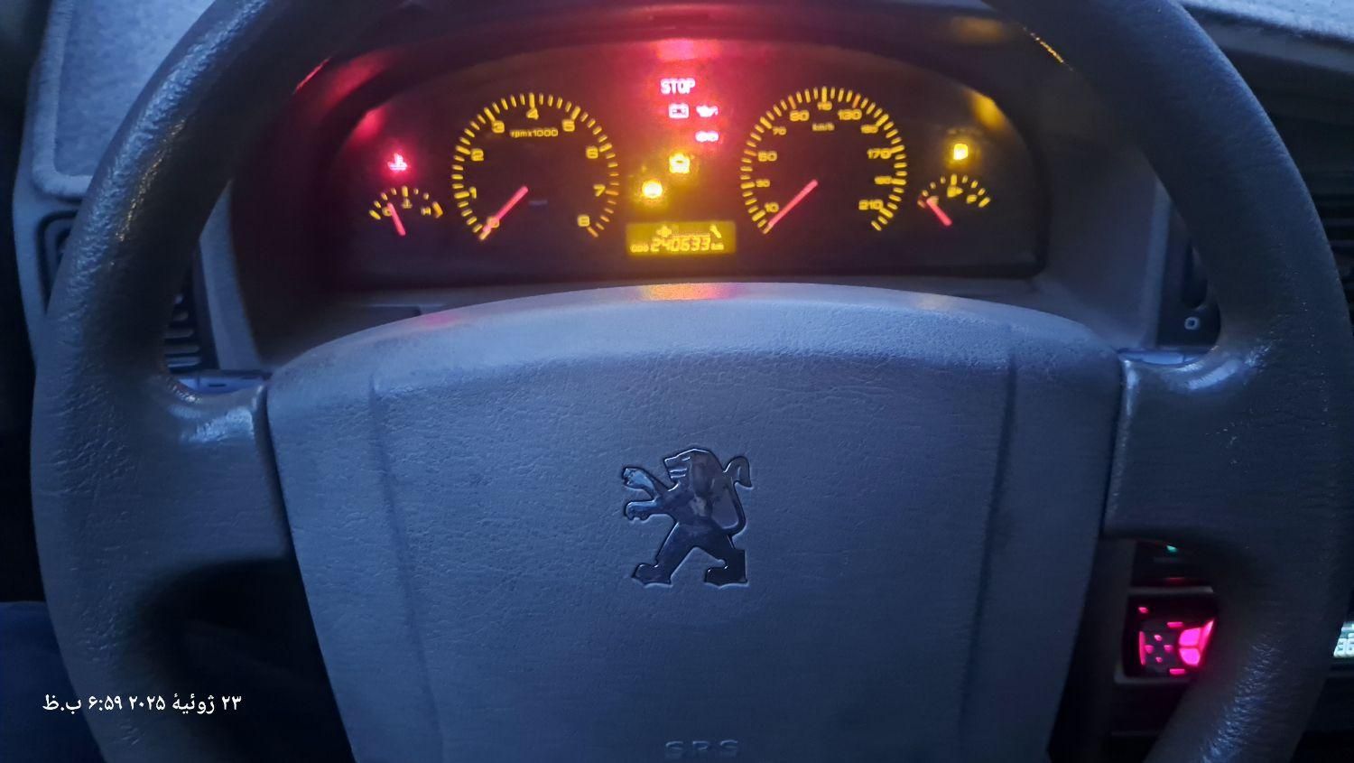 پژو 405 GLX - دوگانه سوز - 1391