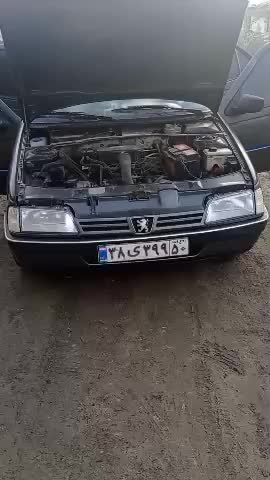 پژو 405 GLX - 1379