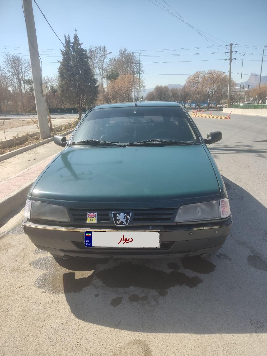 پژو آردی RDI - 1384