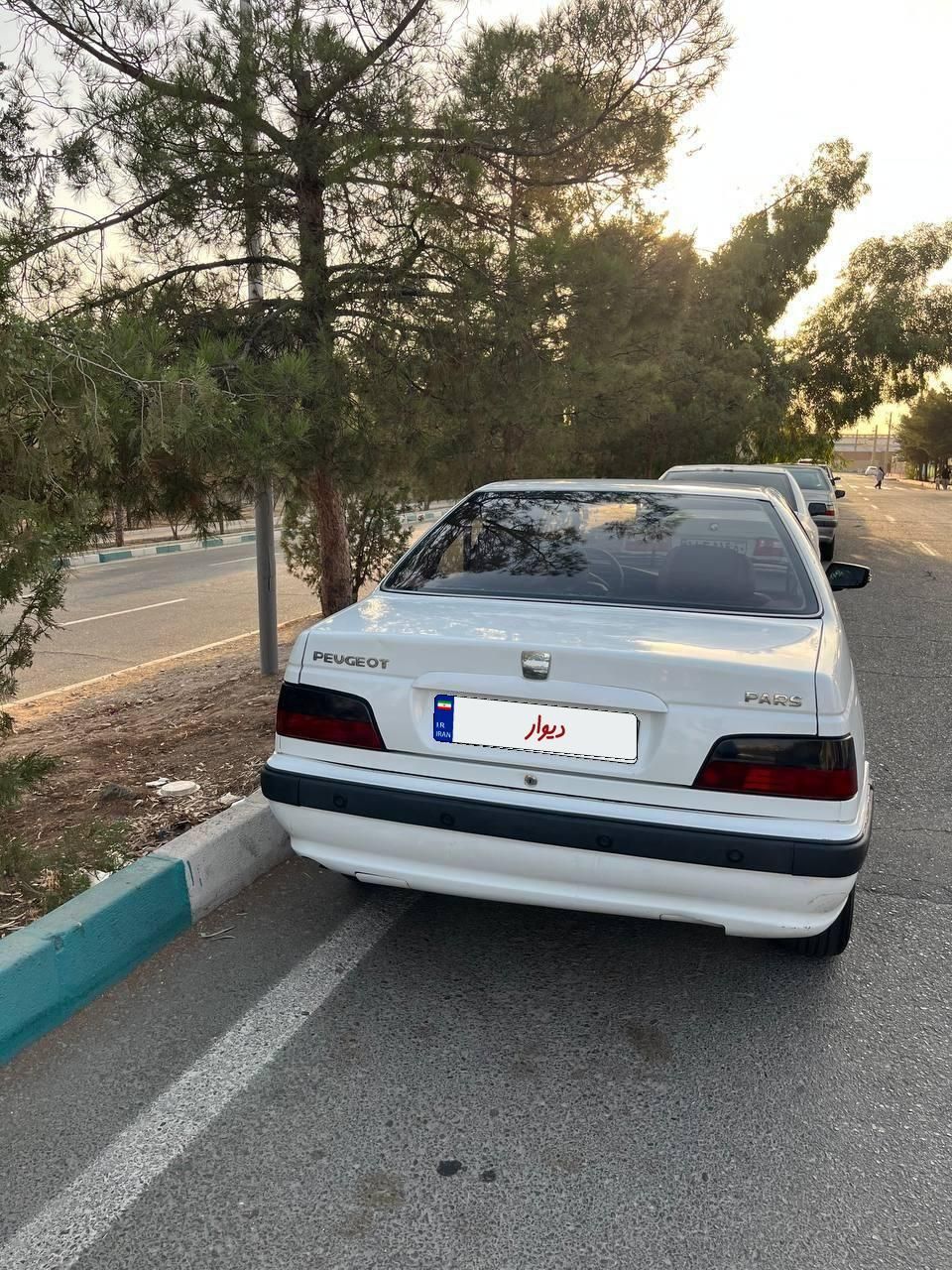 پژو پارس ELX-XU7P سفارشی - 1391