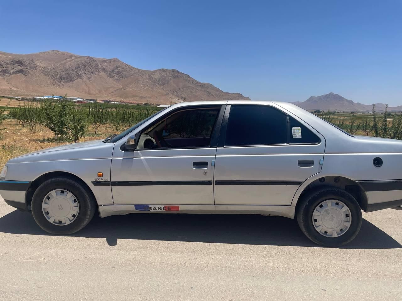 پژو 405 GLX - دوگانه سوز - 1391