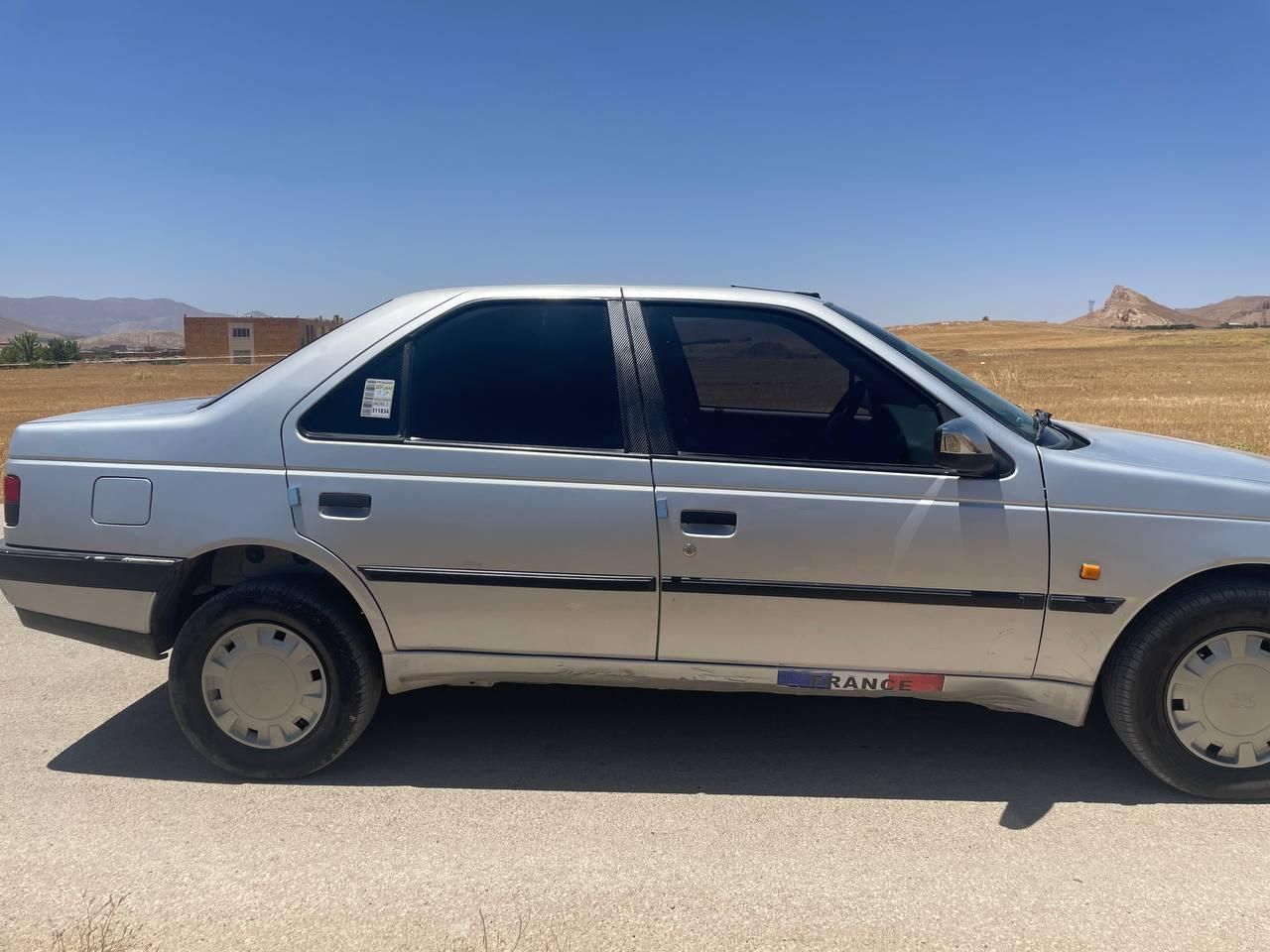 پژو 405 GLX - دوگانه سوز - 1391