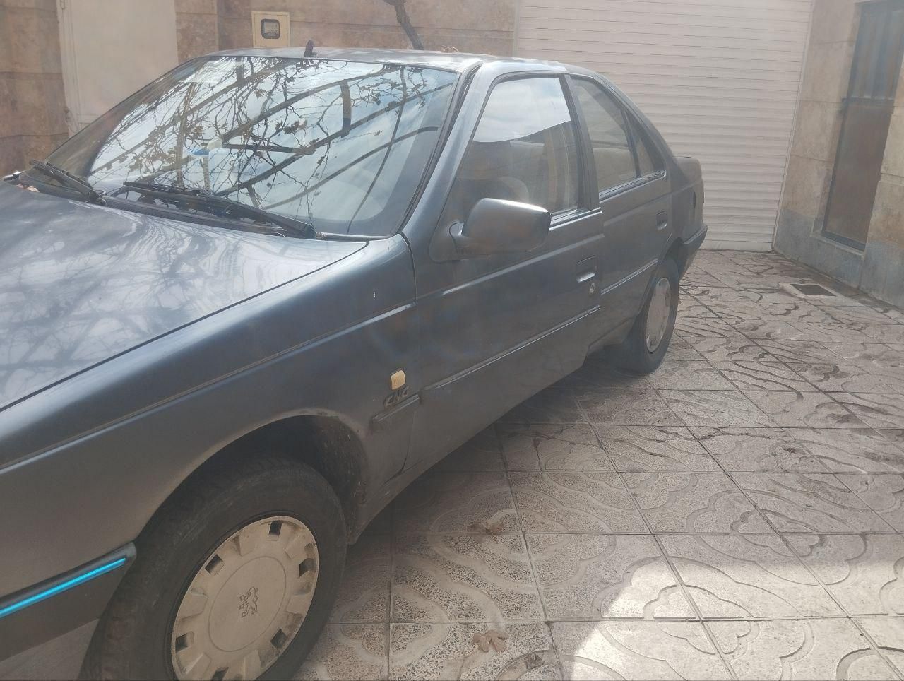 پژو 405 GLX - دوگانه سوز - 1393