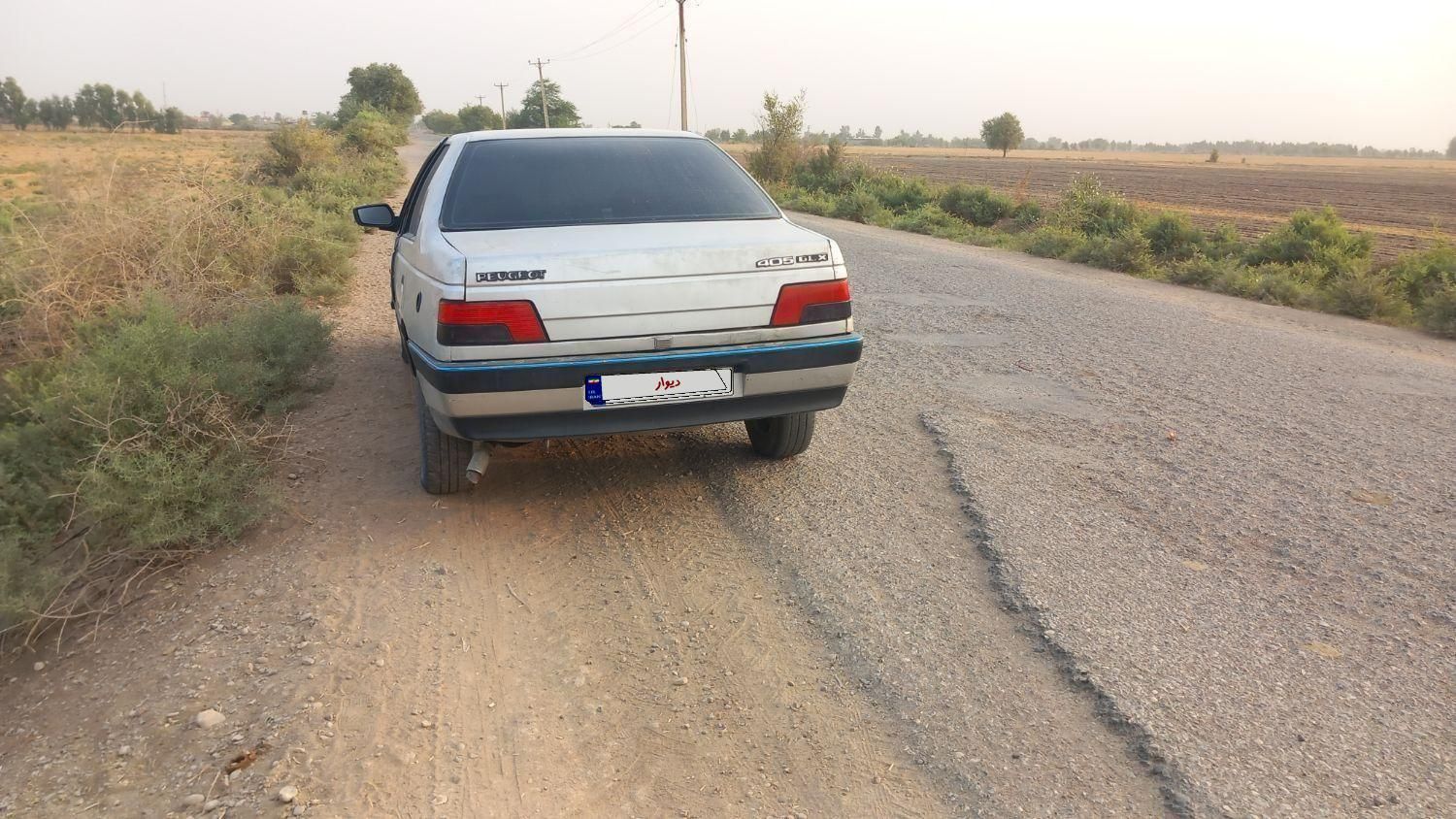 پژو 405 GLX - دوگانه سوز - 1390