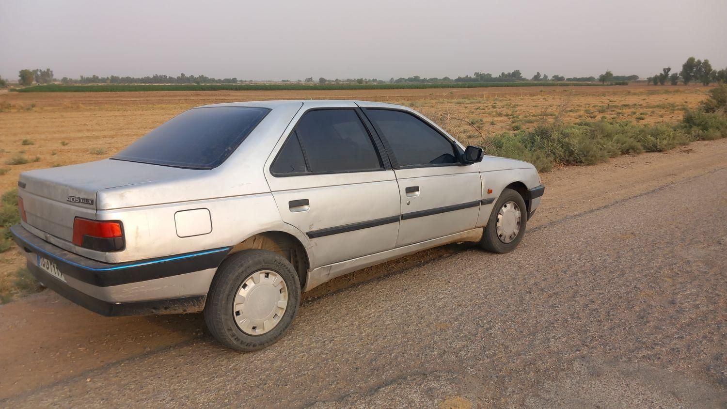 پژو 405 GLX - دوگانه سوز - 1390