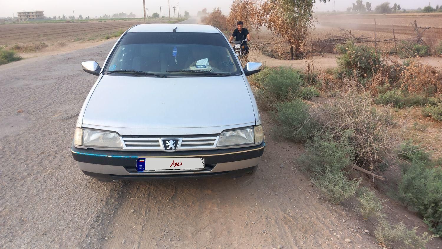 پژو 405 GLX - دوگانه سوز - 1390