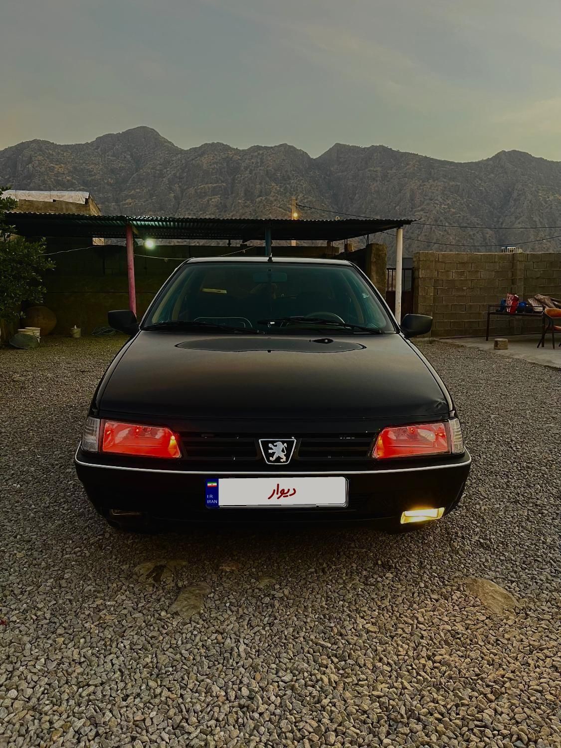 پژو 405 GLX - دوگانه سوز - 1391
