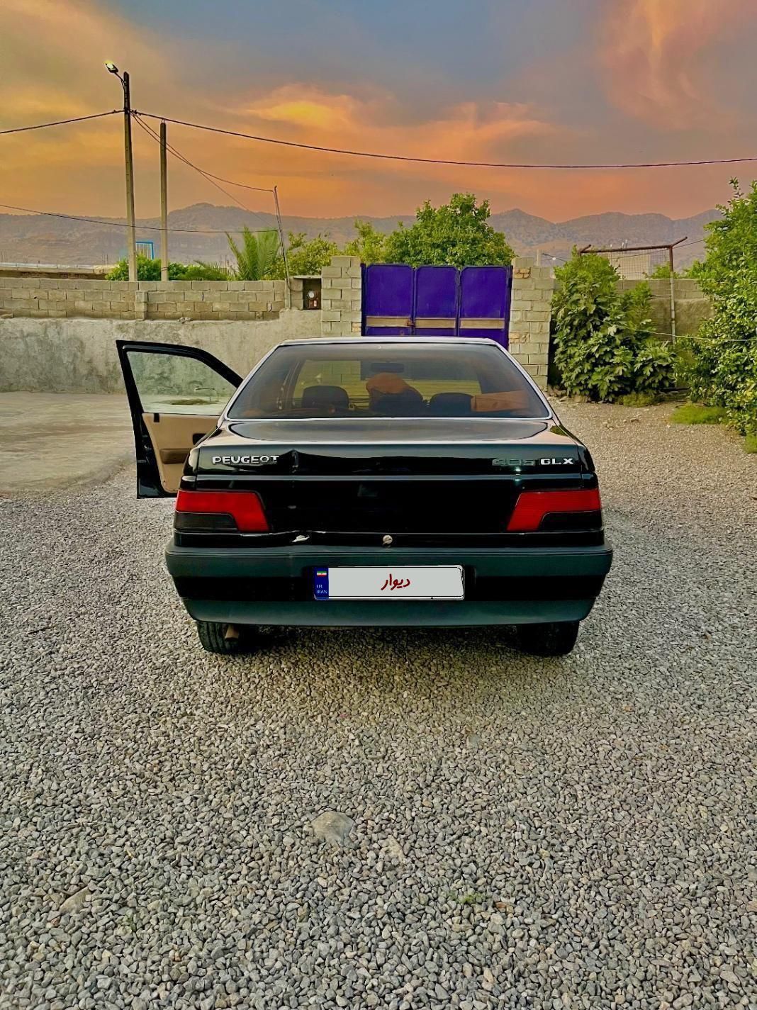 پژو 405 GLX - دوگانه سوز - 1391