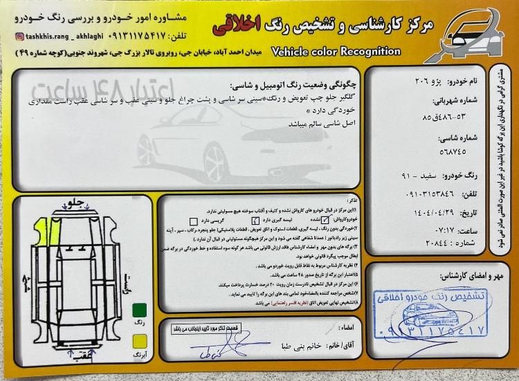 پژو 206 تیپ 2 - 1391