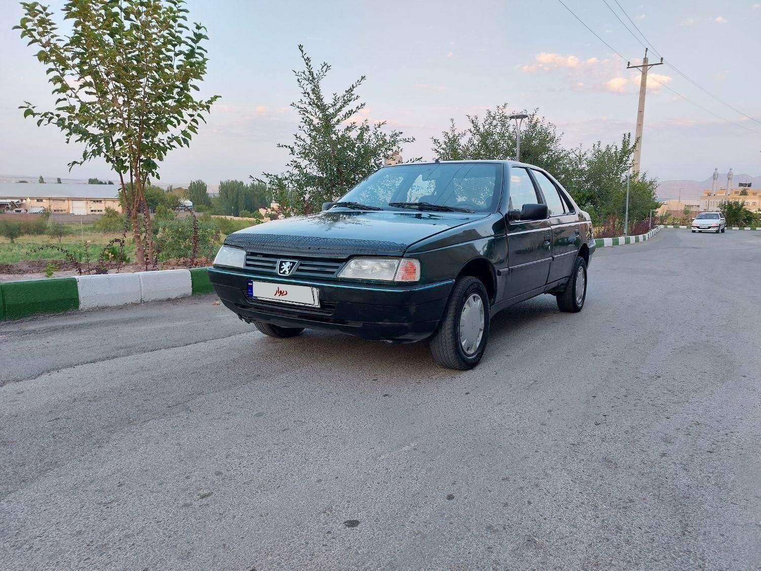 پژو آردی دوگانه سوز CNG - 1382