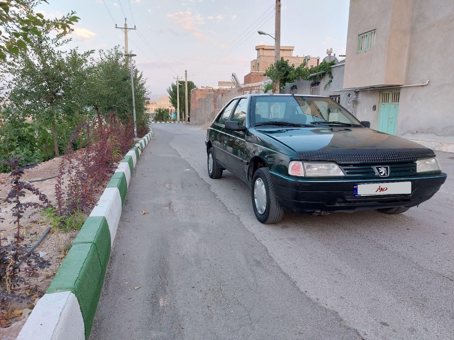 پژو آردی دوگانه سوز CNG - 1382