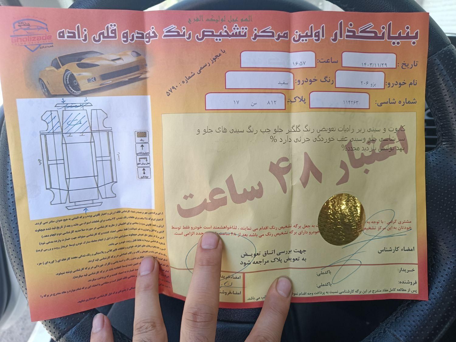 پژو 206 تیپ 5 - 1396