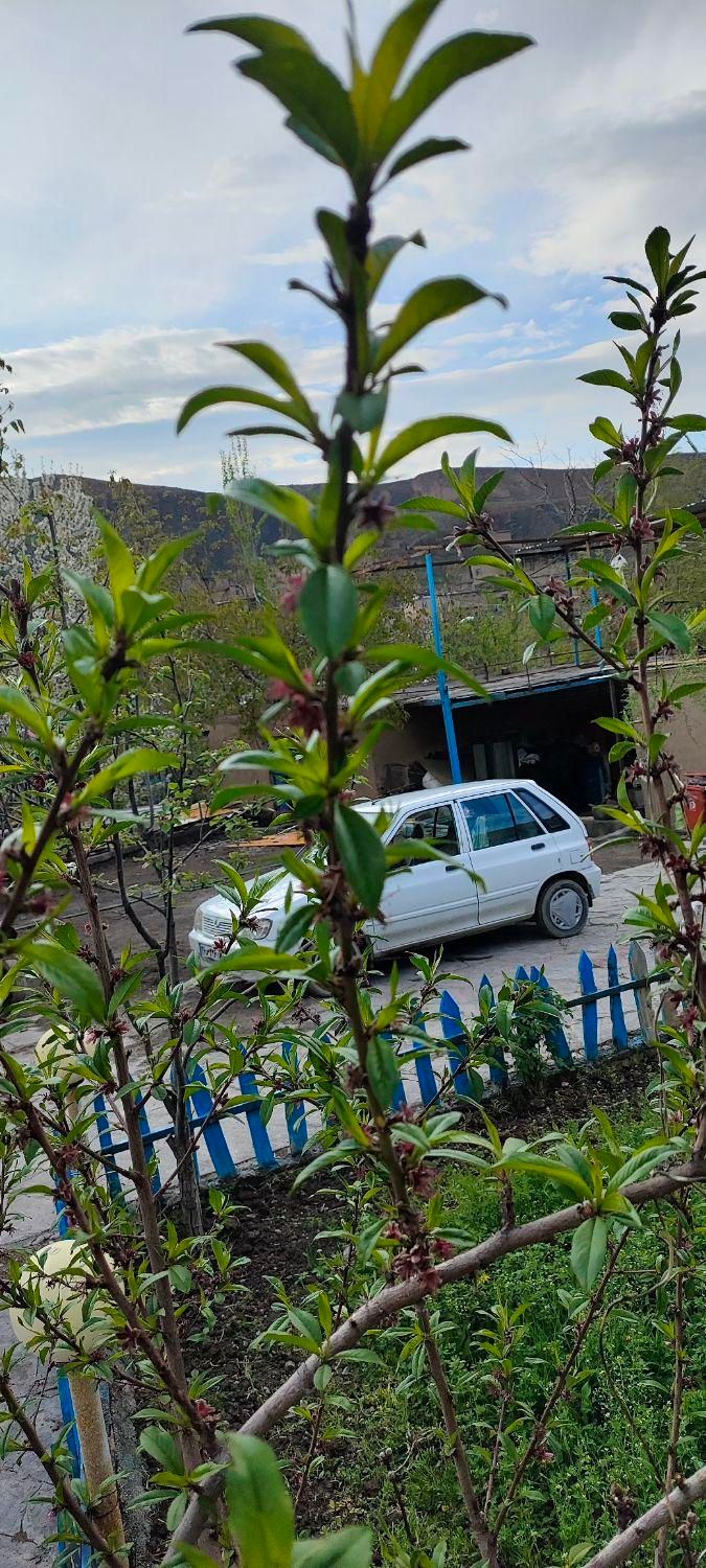 پراید 111 SE - 1393