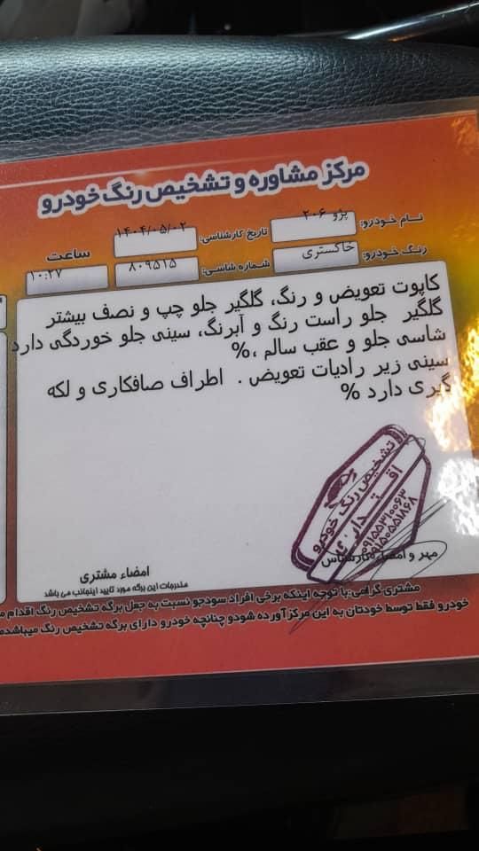 پژو 206 تیپ 2 - 1395
