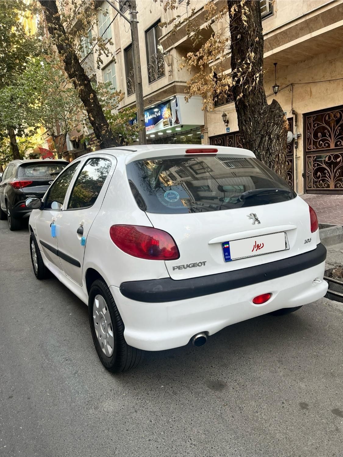 پژو 206 تیپ 2 - 1399