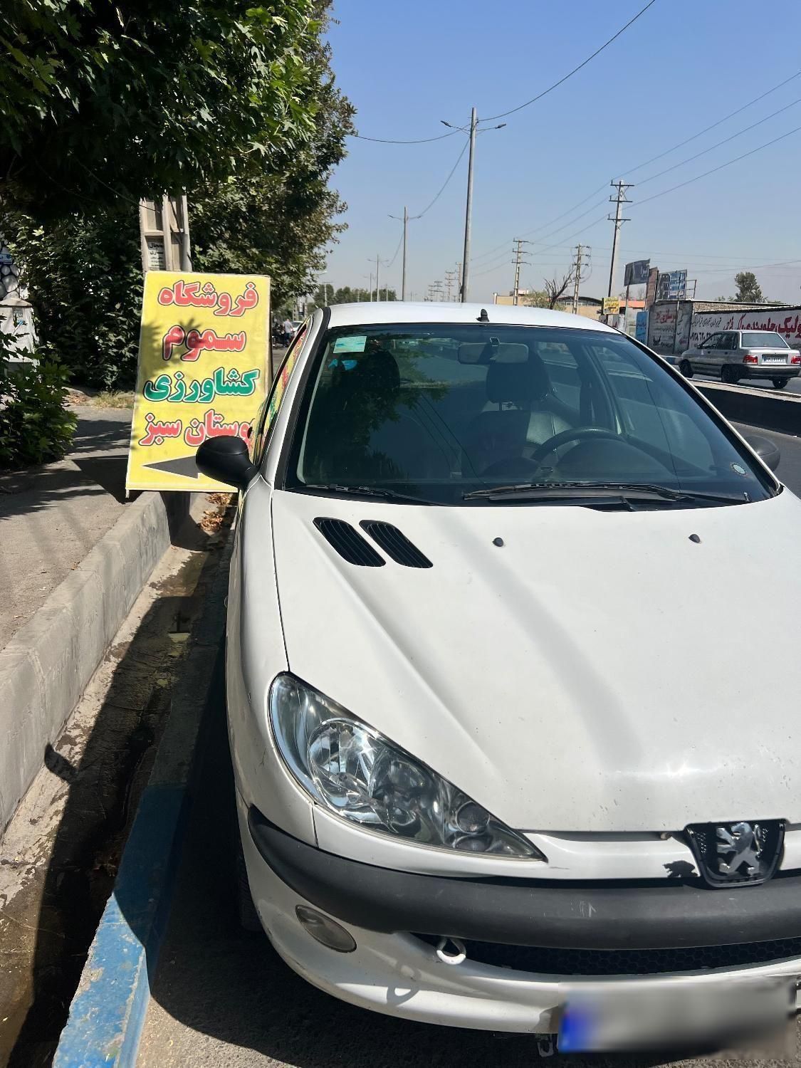 پژو 206 تیپ 2 - 1391