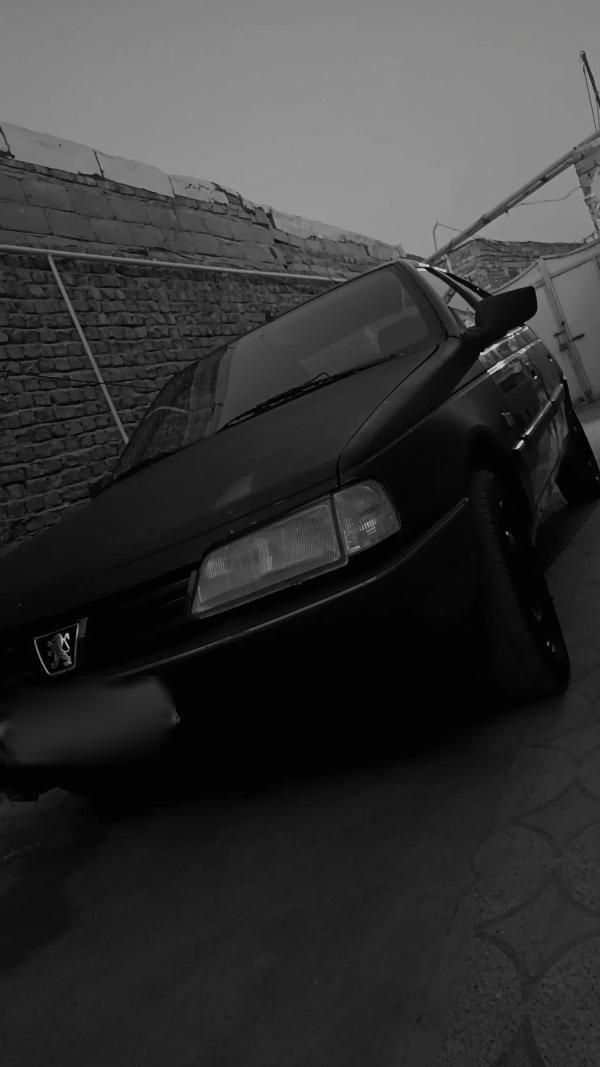 پژو 405 GLX - 1383