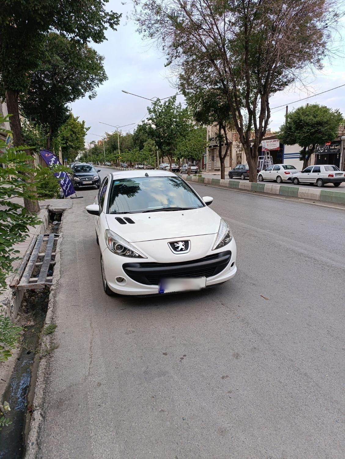 پژو 207 دنده‌ای فرمان هیدرولیک - 1401