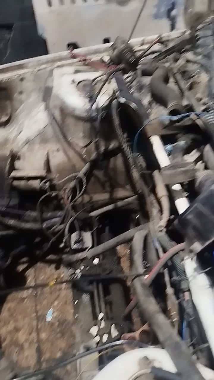 پژو آردی دوگانه سوز CNG - 1381