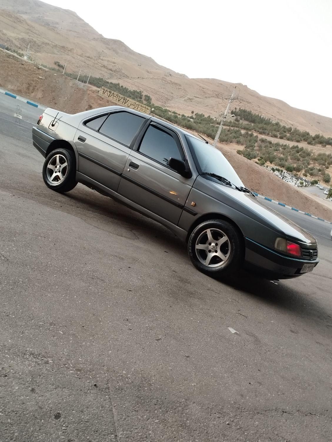 پژو 405 GLX - دوگانه سوز - 1391