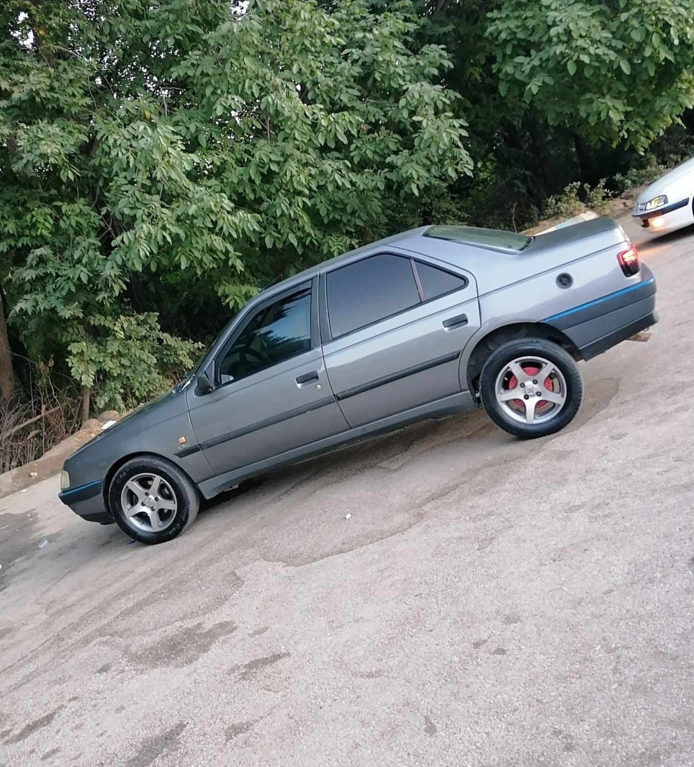 پژو 405 GLX - دوگانه سوز - 1391