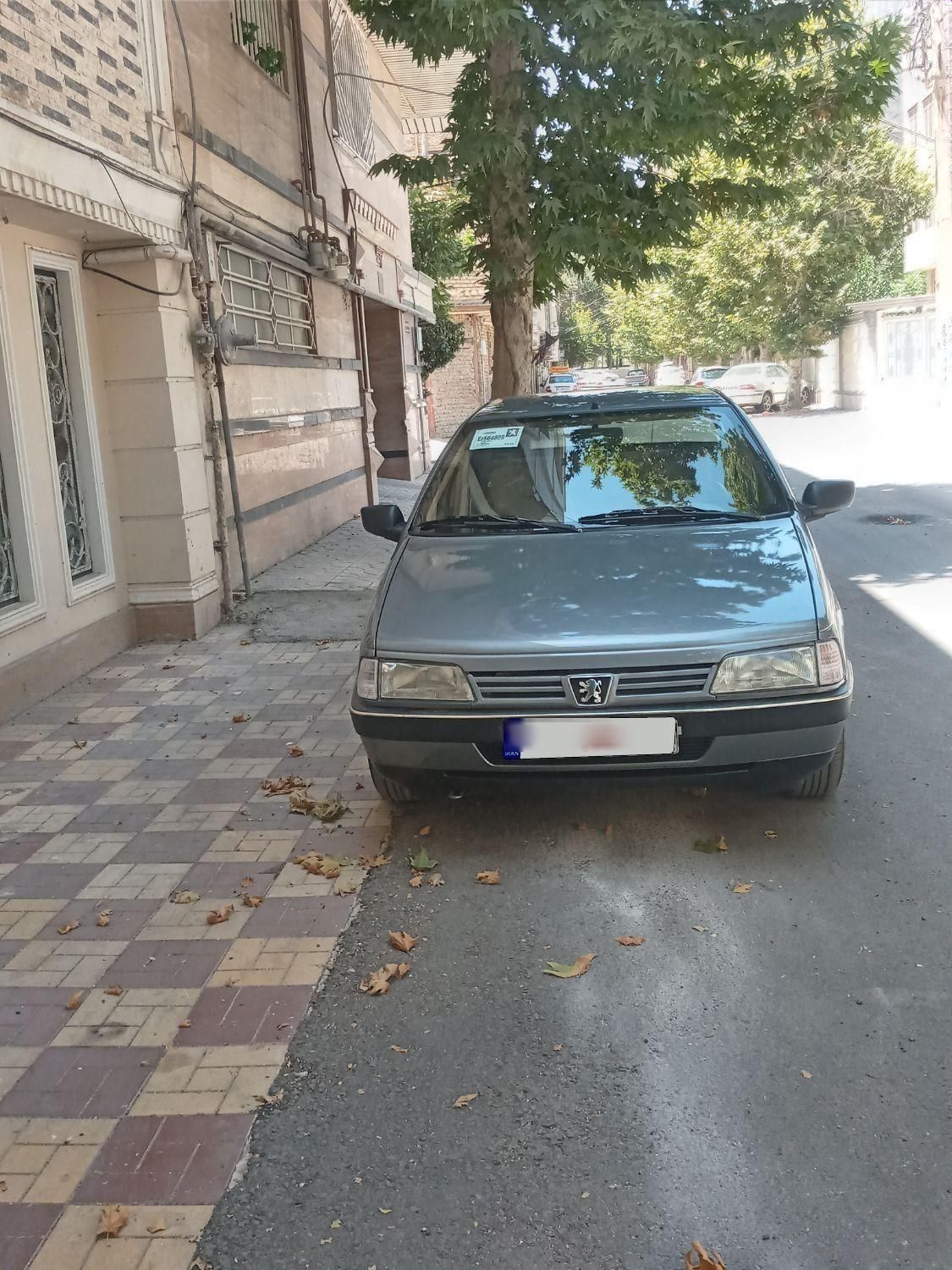 پژو 405 GLX - 1391