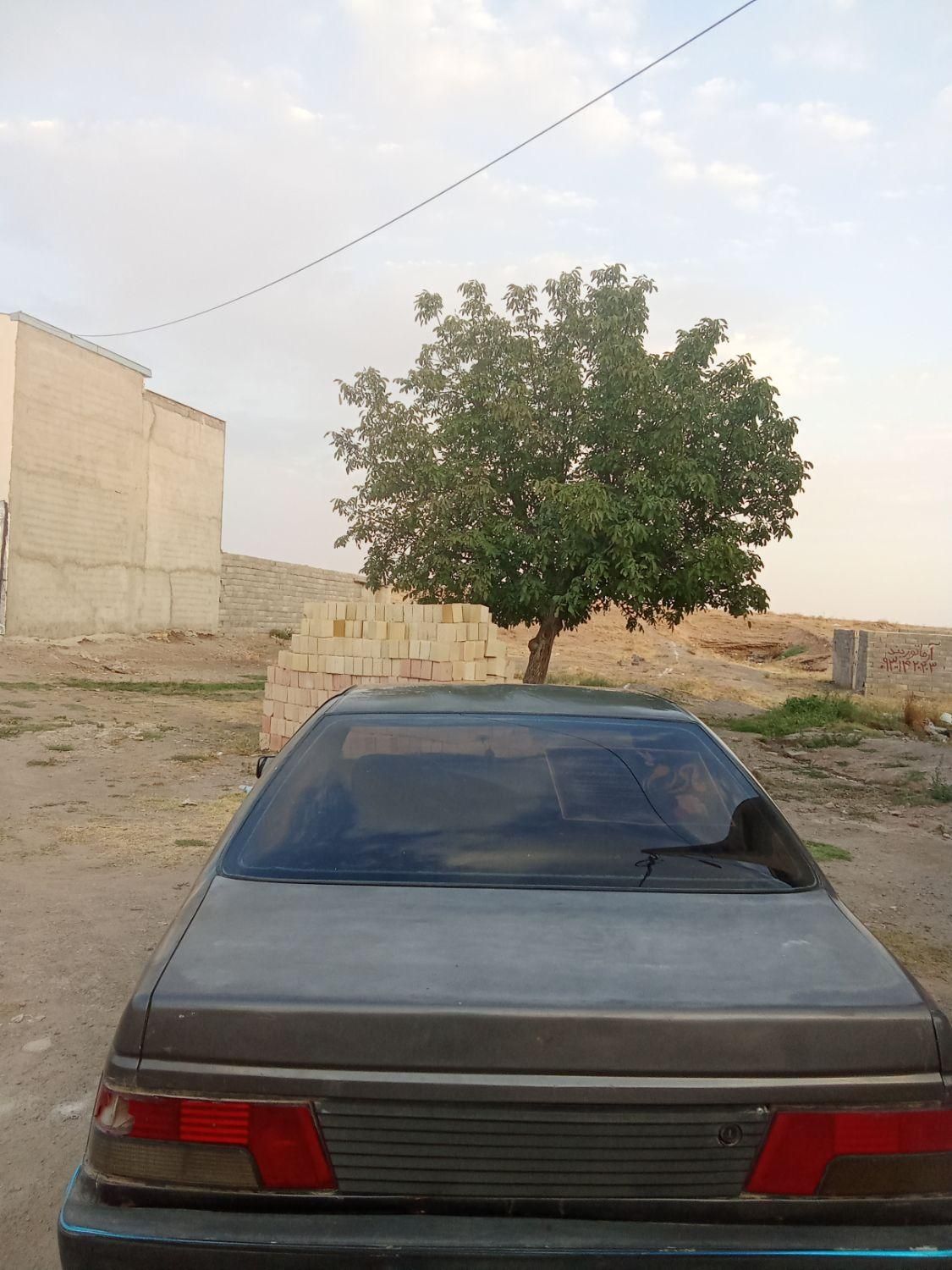پژو روآ دوگانه سوز - 1385